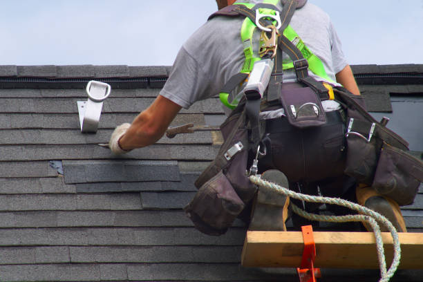 Best Gutter Installation and Roofing  in South Bloomfield, OH