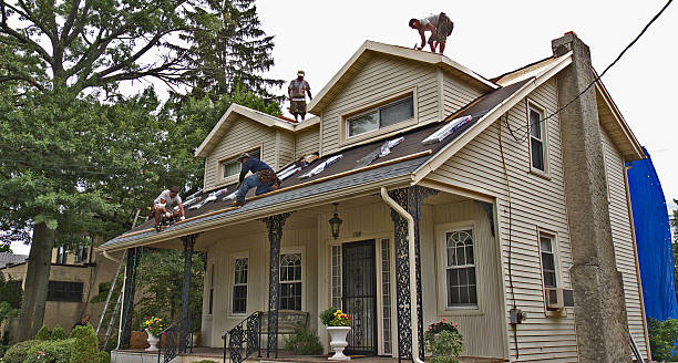 Best Flat Roof Repair Services  in South Bloomfield, OH