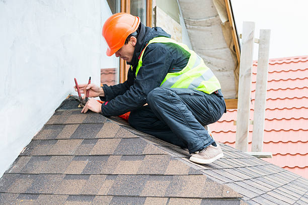 Best Roof Restoration Services  in South Bloomfield, OH