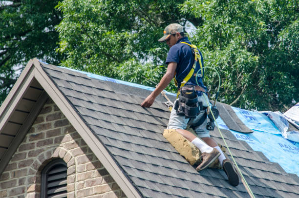 Best Roof Gutter Cleaning  in South Bloomfield, OH